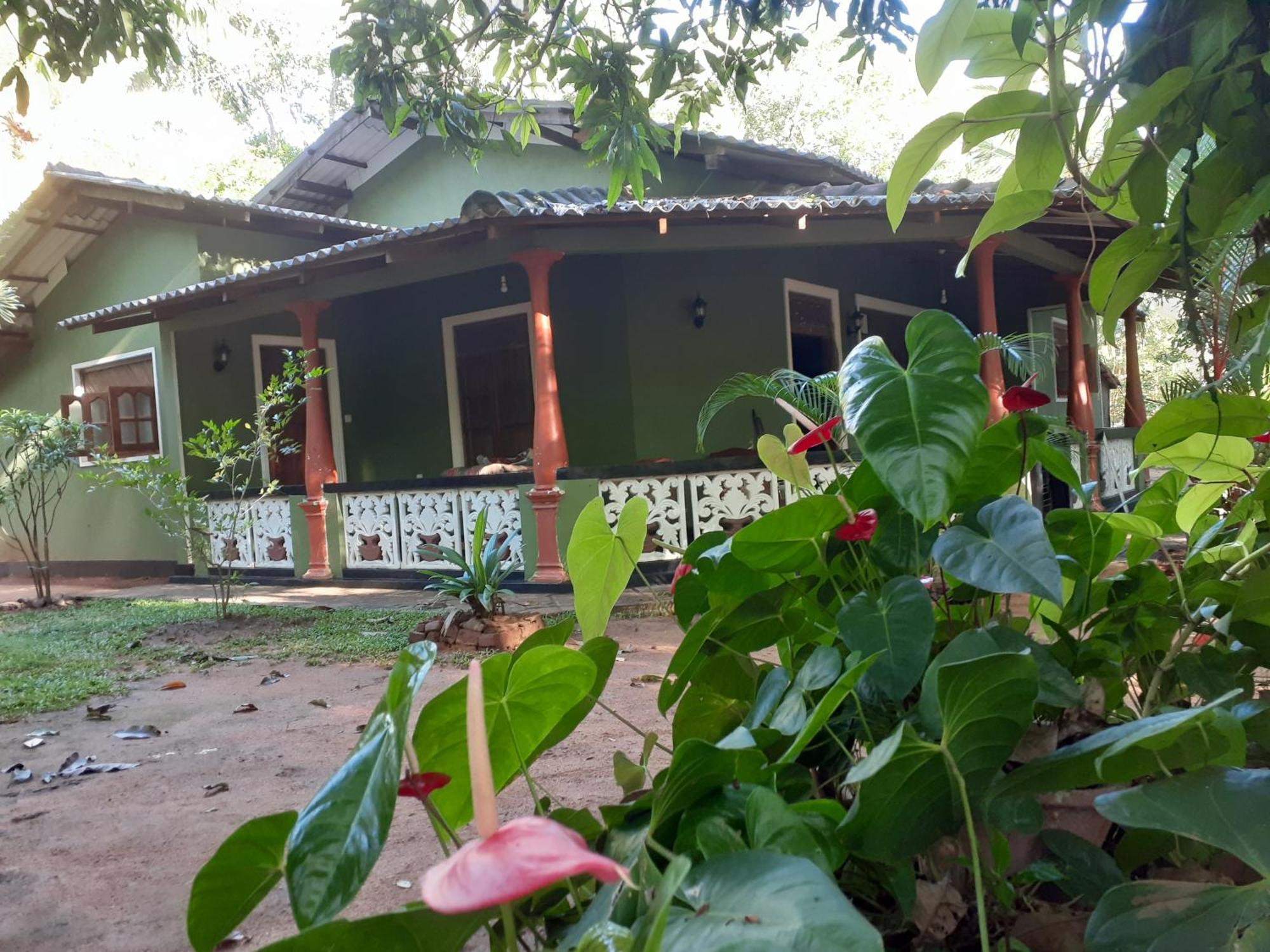 Green Bamboo House Sigiriya Exterior foto